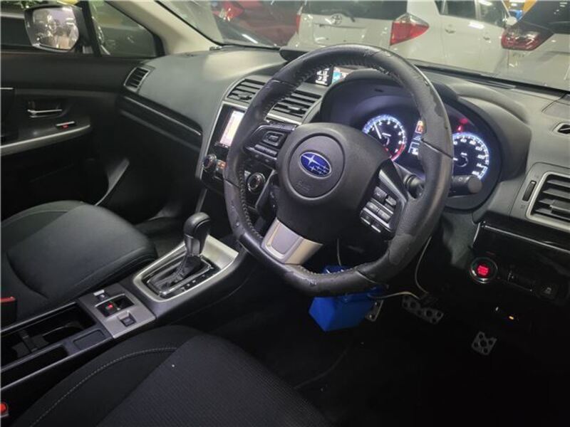 LEVORG