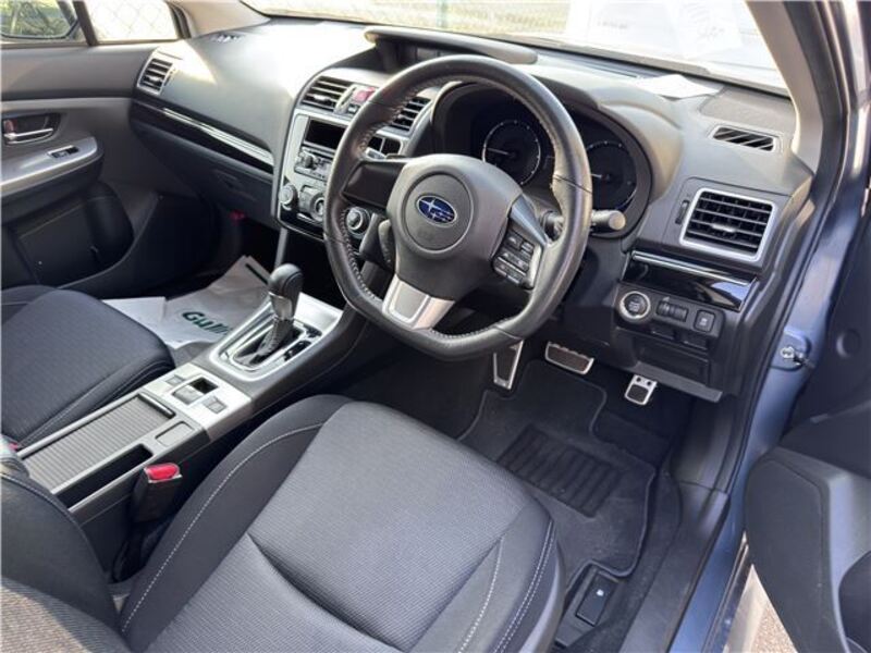 LEVORG