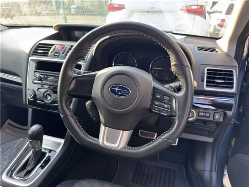 LEVORG