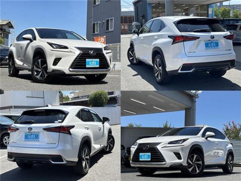NX