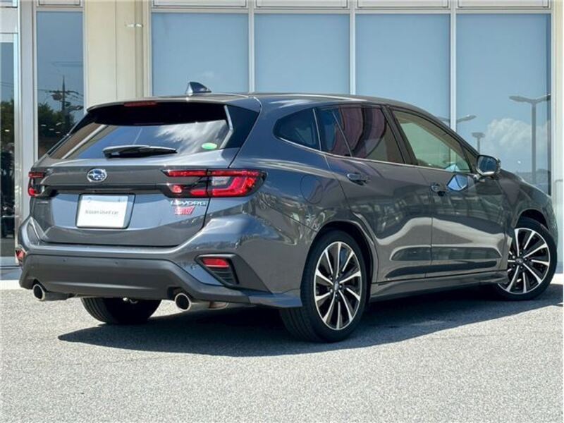 LEVORG