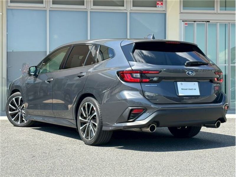 LEVORG