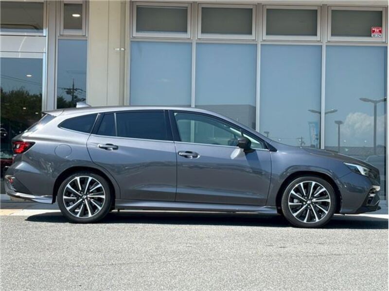 LEVORG
