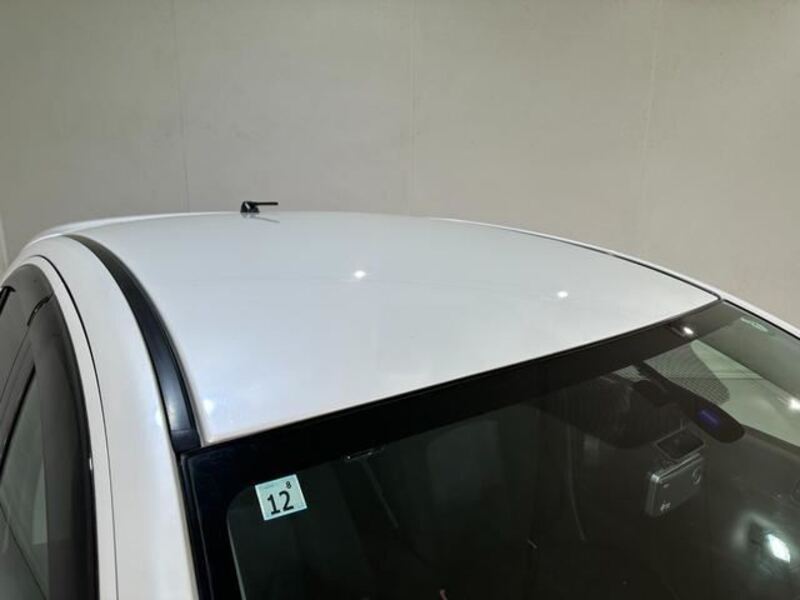 GALANT FORTIS