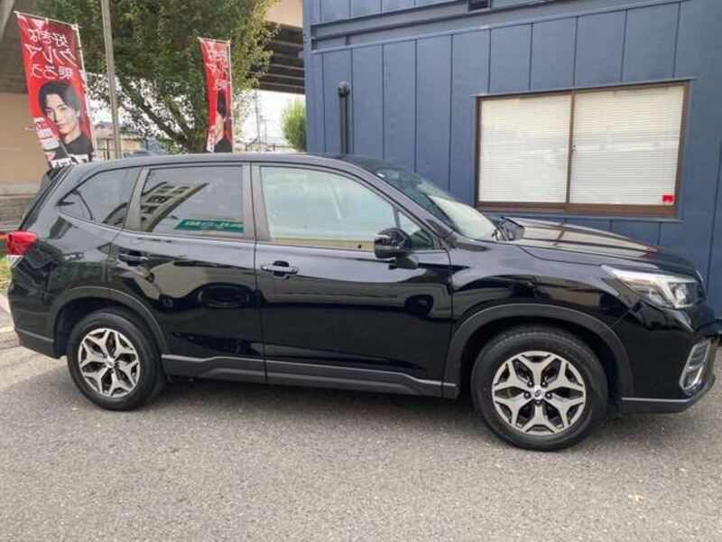 FORESTER