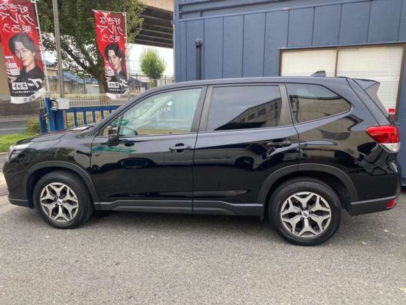 FORESTER