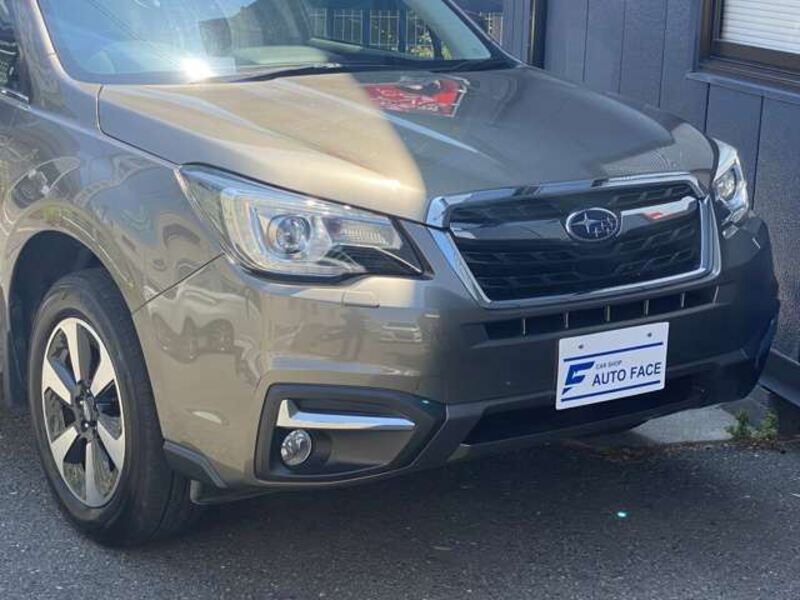 FORESTER