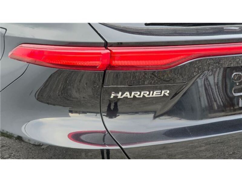 HARRIER
