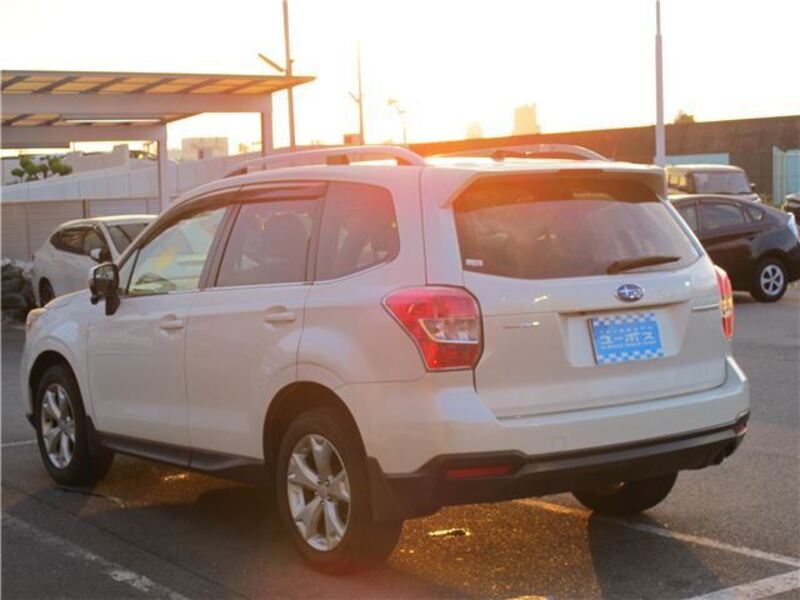 FORESTER