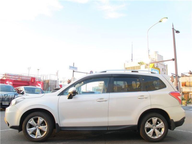 FORESTER
