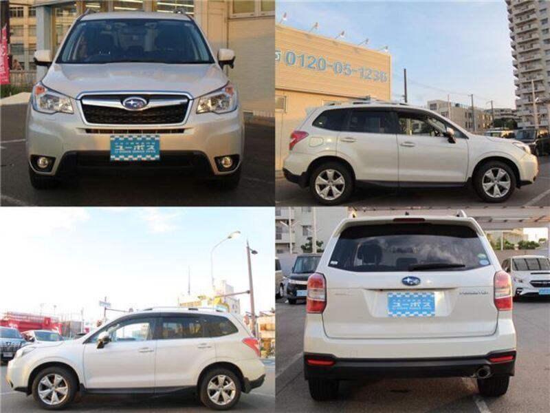FORESTER