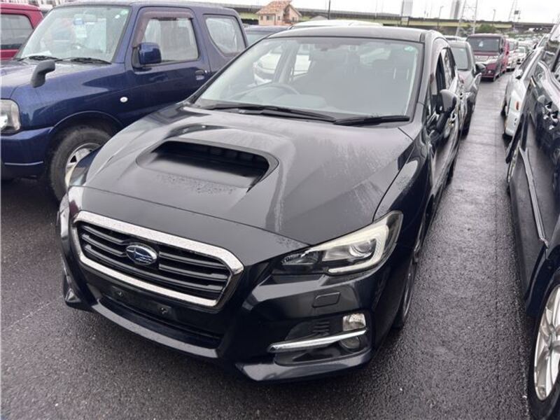 LEVORG-0