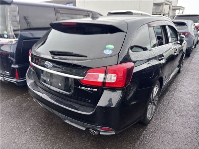 LEVORG