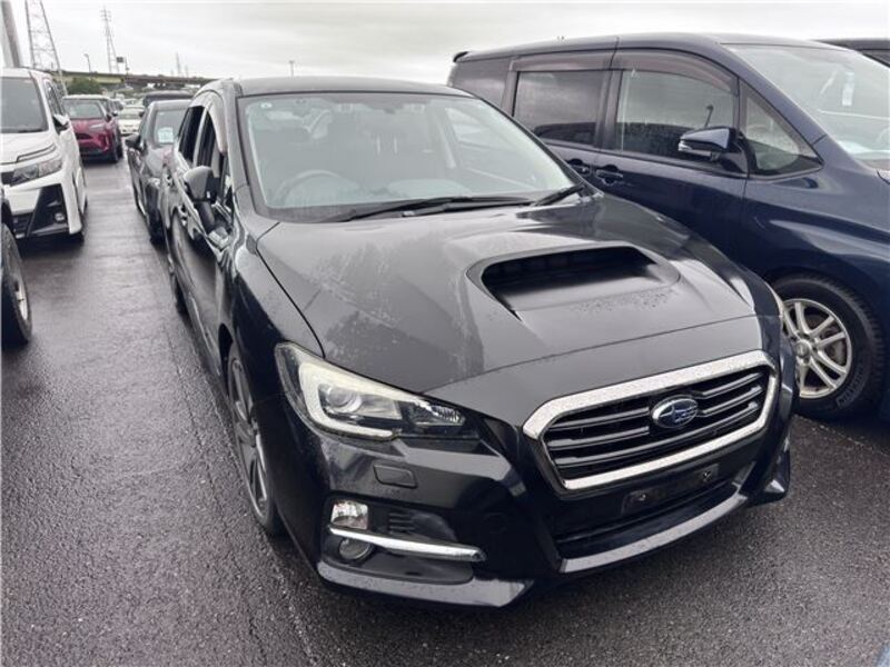 LEVORG