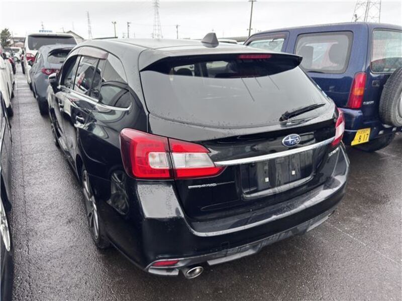 LEVORG