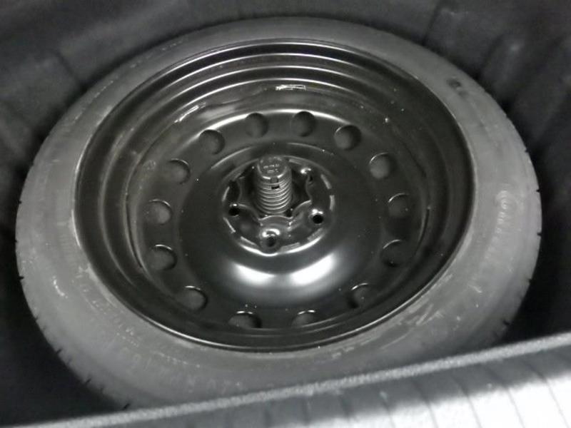 GOLF VARIANT
