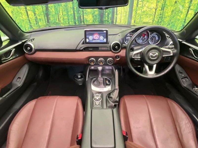 ROADSTER RF
