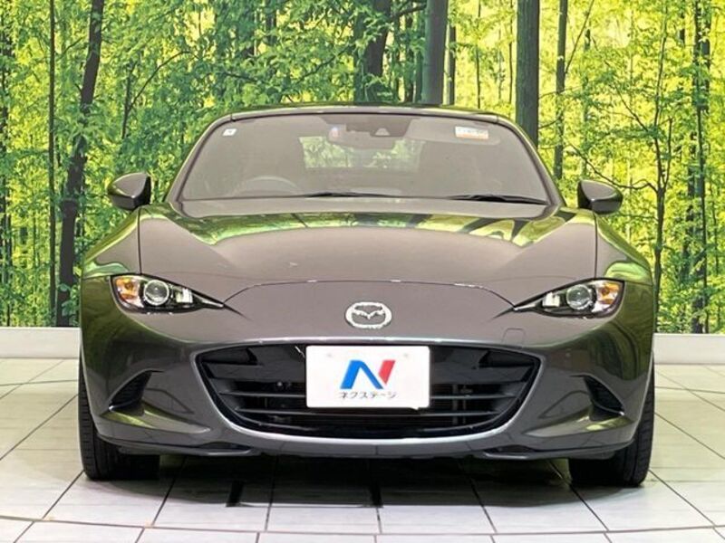 ROADSTER RF