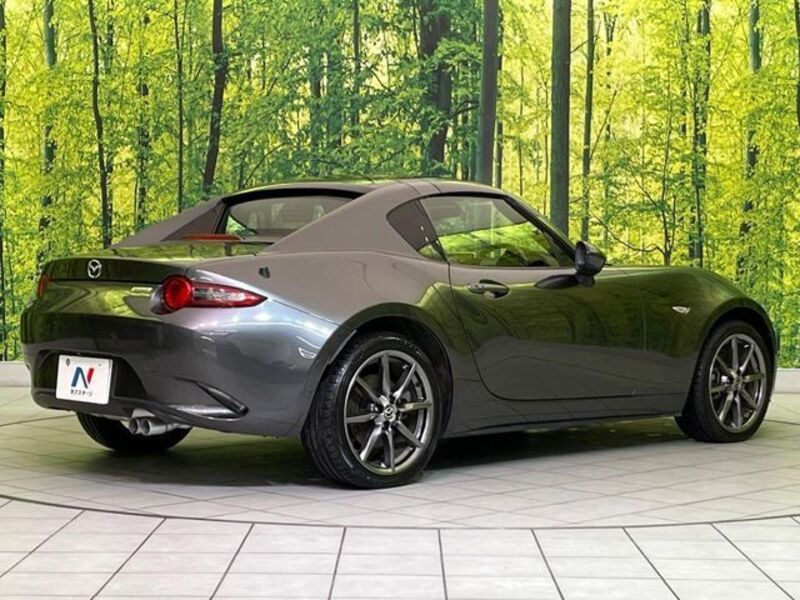 ROADSTER RF