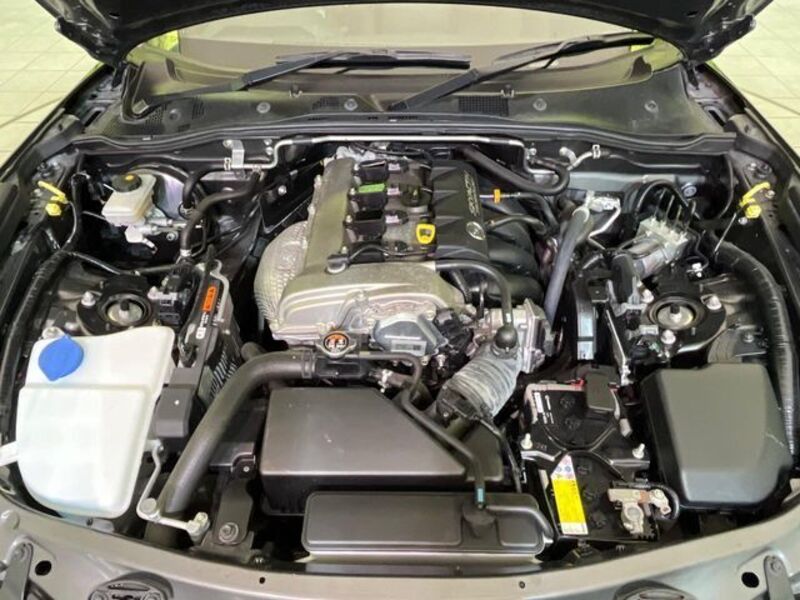 ROADSTER RF