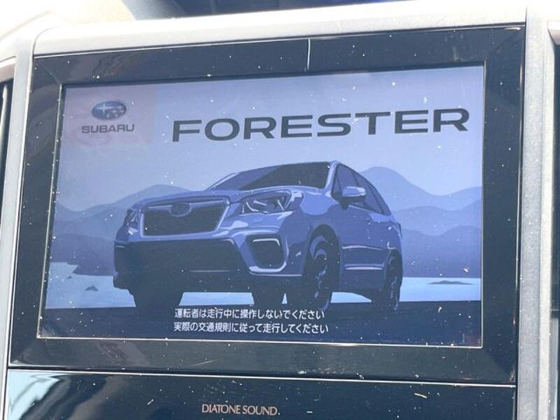 FORESTER