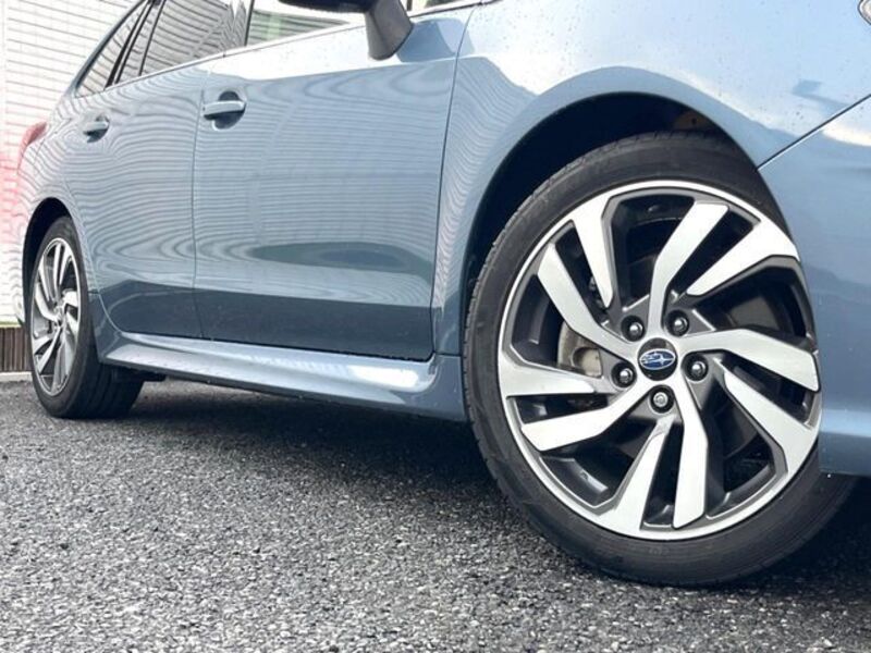 LEVORG