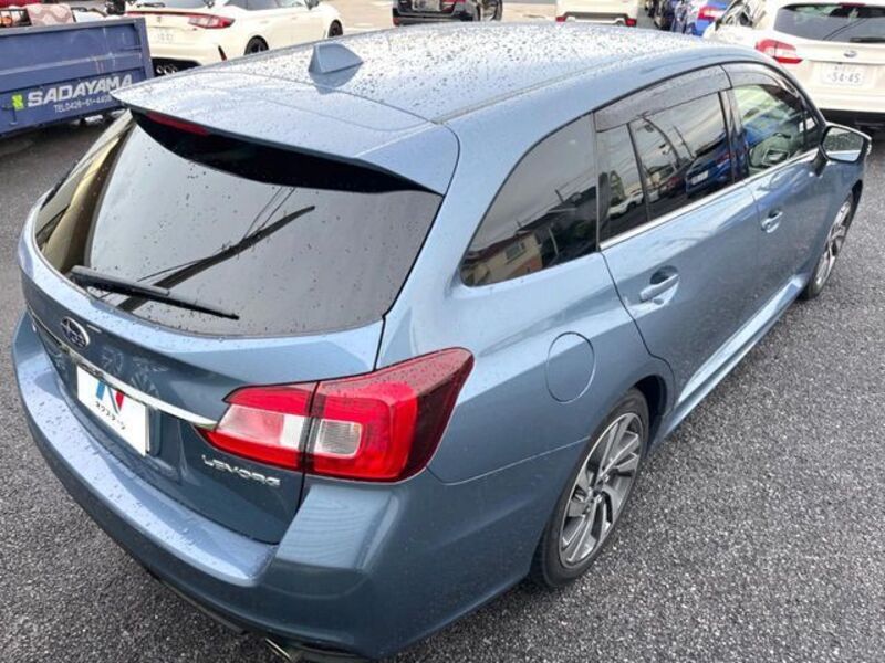 LEVORG