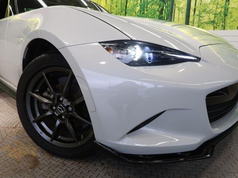 ROADSTER