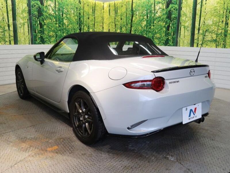 ROADSTER