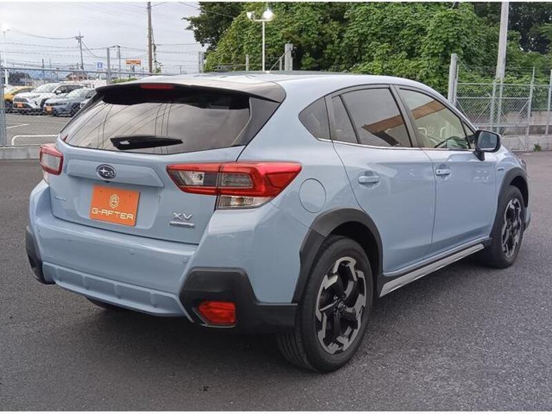 XV