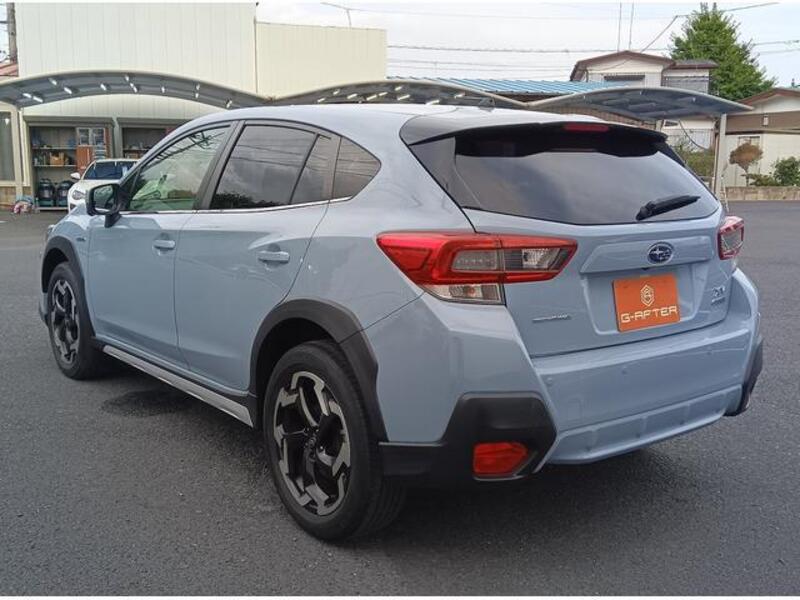 XV