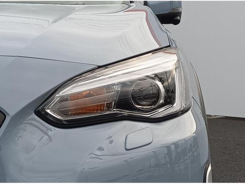 XV