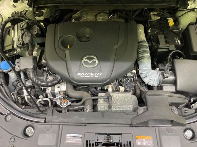 CX-8