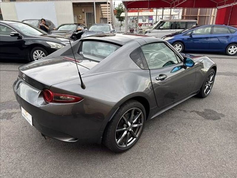 ROADSTER RF