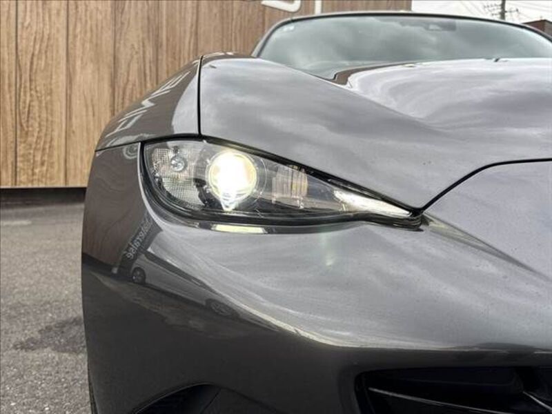 ROADSTER RF