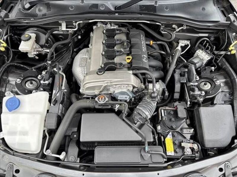 ROADSTER RF