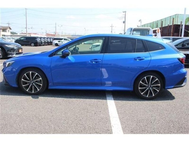 LEVORG