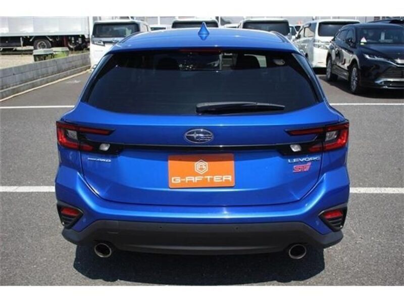 LEVORG