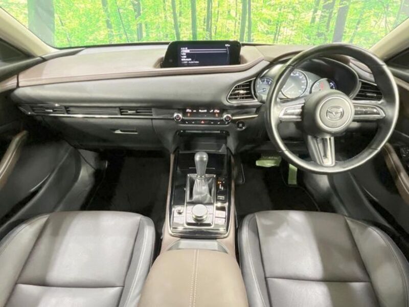 CX-30