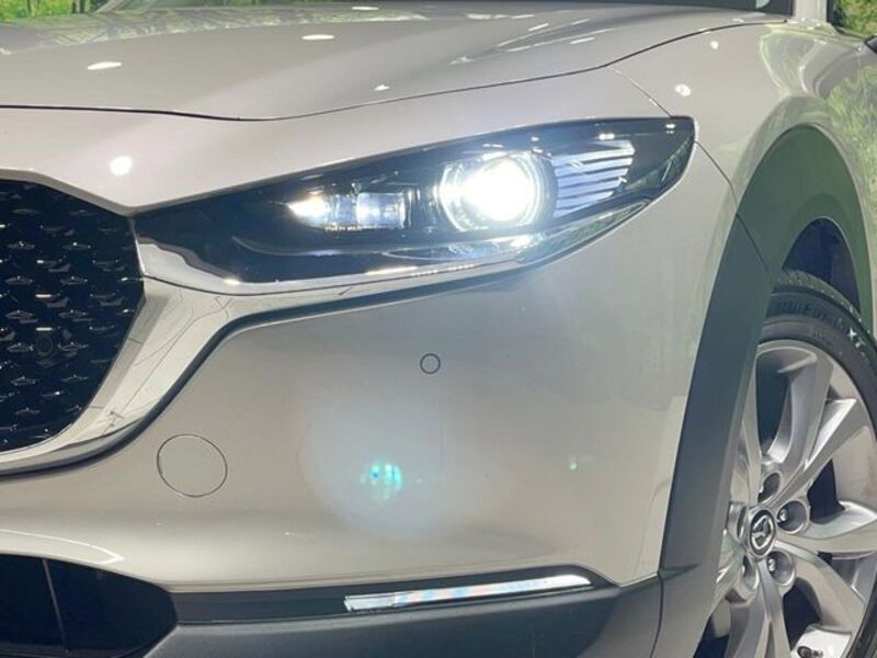 CX-30