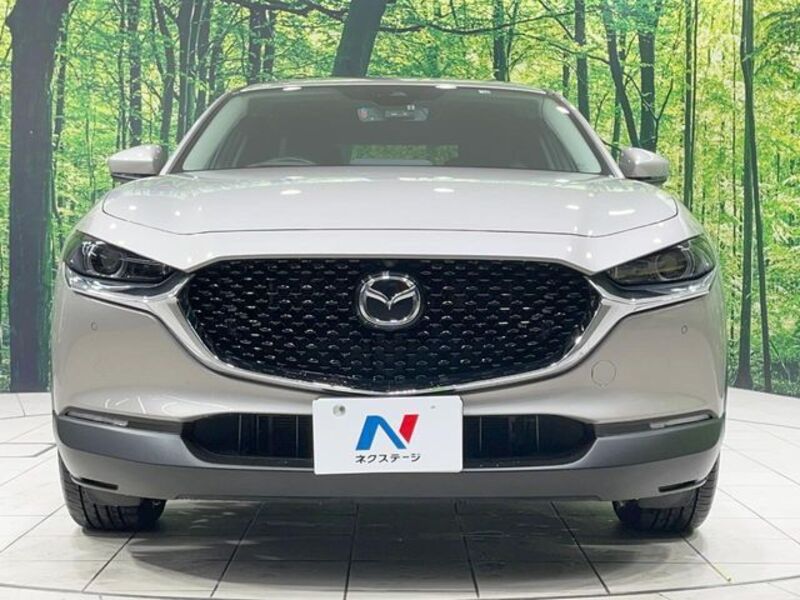 CX-30