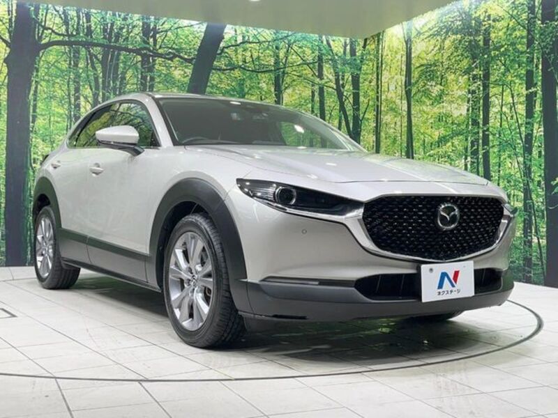 CX-30