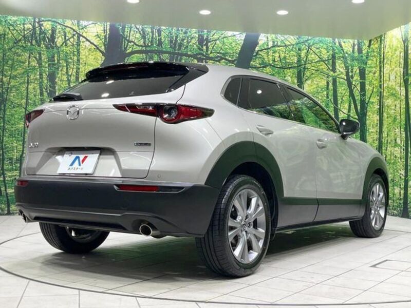CX-30