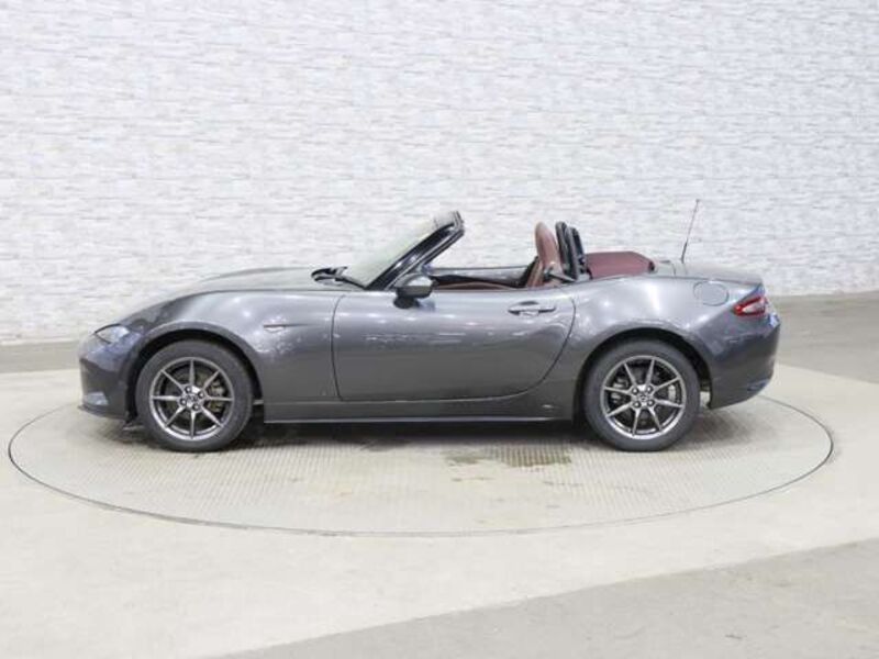 ROADSTER