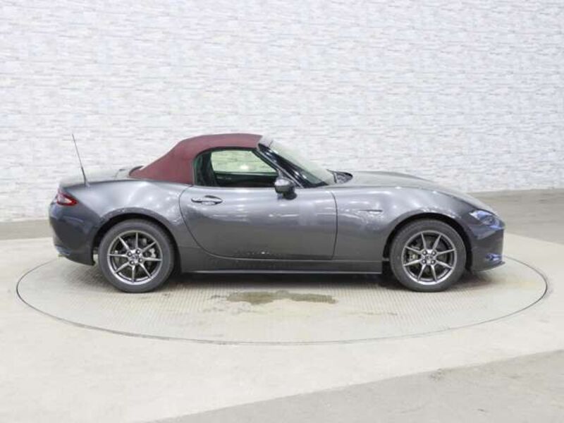 ROADSTER