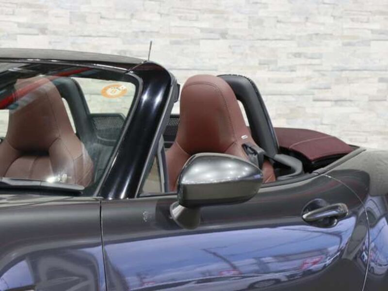 ROADSTER