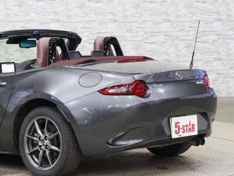ROADSTER
