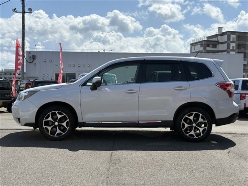 FORESTER