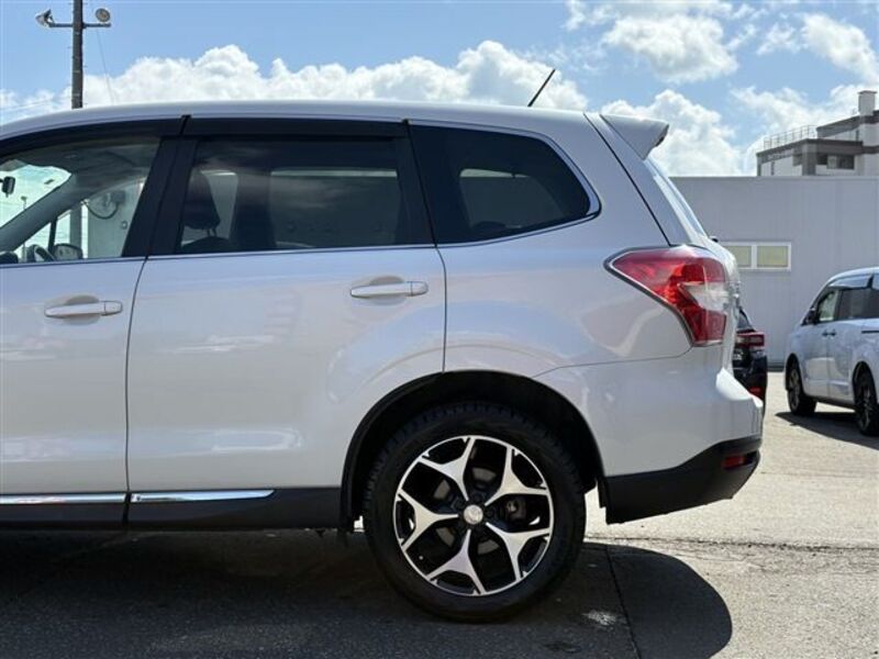 FORESTER