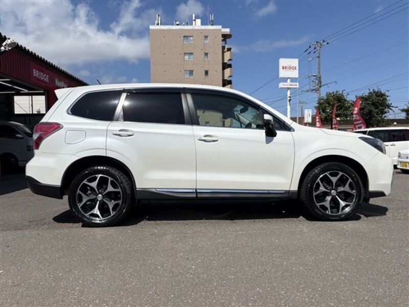 FORESTER